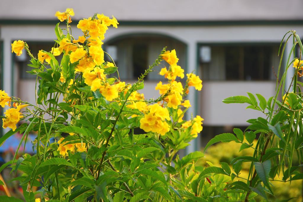 Aveda Blue Country Resort Panchgani Esterno foto